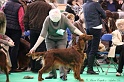 Crufts2011 249